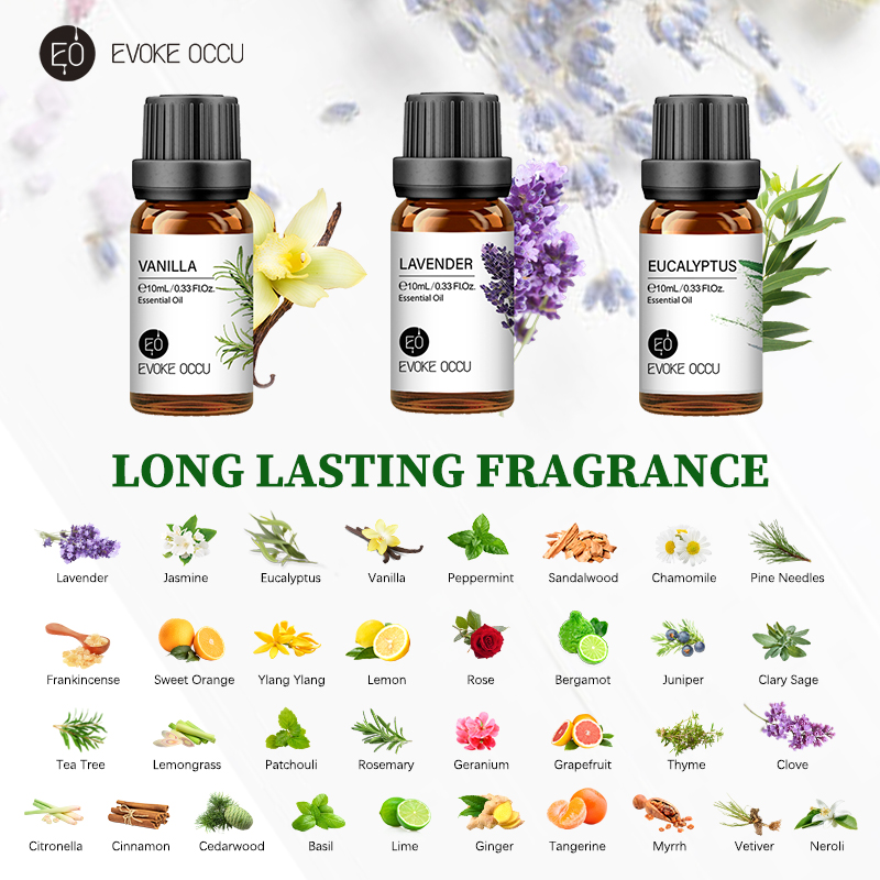 Evoke occu 10ml óleo essencial - Soap Making Essentials avaliação e preço